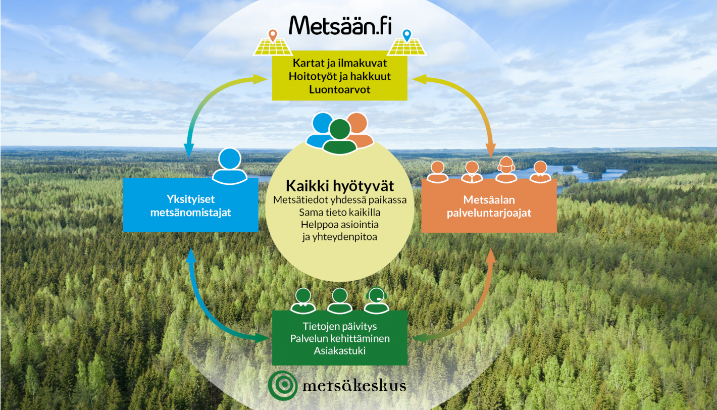 Metsään.fi kaavio, taustalla metsämaisema.