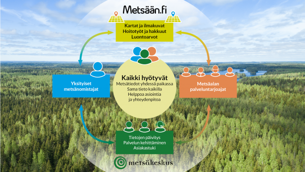 Metsään.fi kaavio, taustalla metsämaisema.