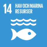 14. Hav och marina resurser
