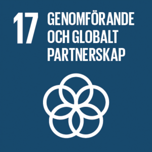 17. Genomförande och globalt partnerskap